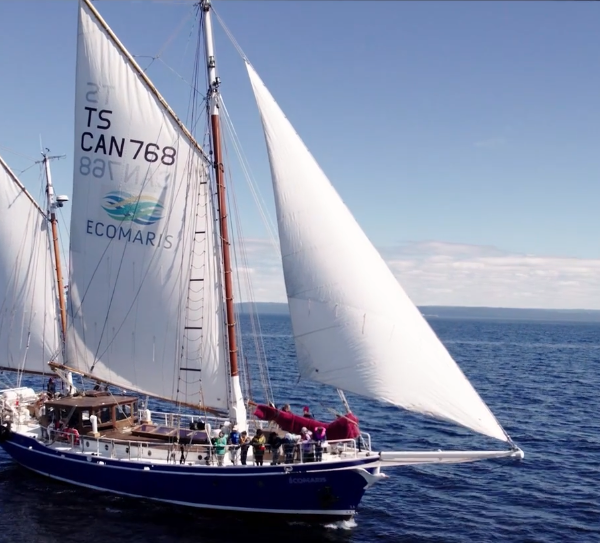 Séjour sur l'ECOMARIS (9 nuits) : St-Laurent 400 & Tintamarre